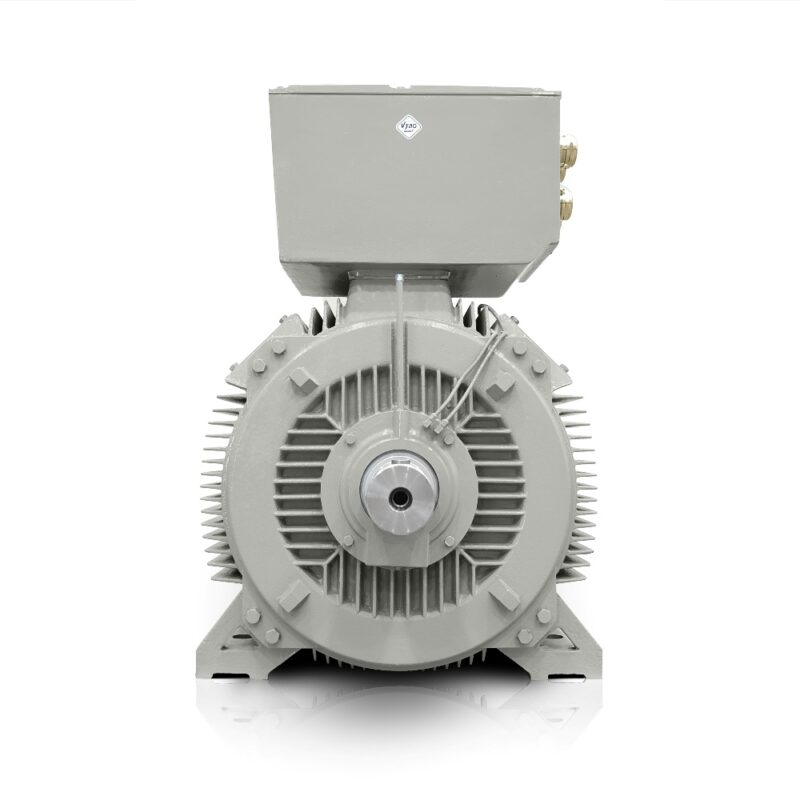 Lavspændings elmotor 1000kW H17RL (IE3-400V/690V-3000 o/min) Danmark God pris